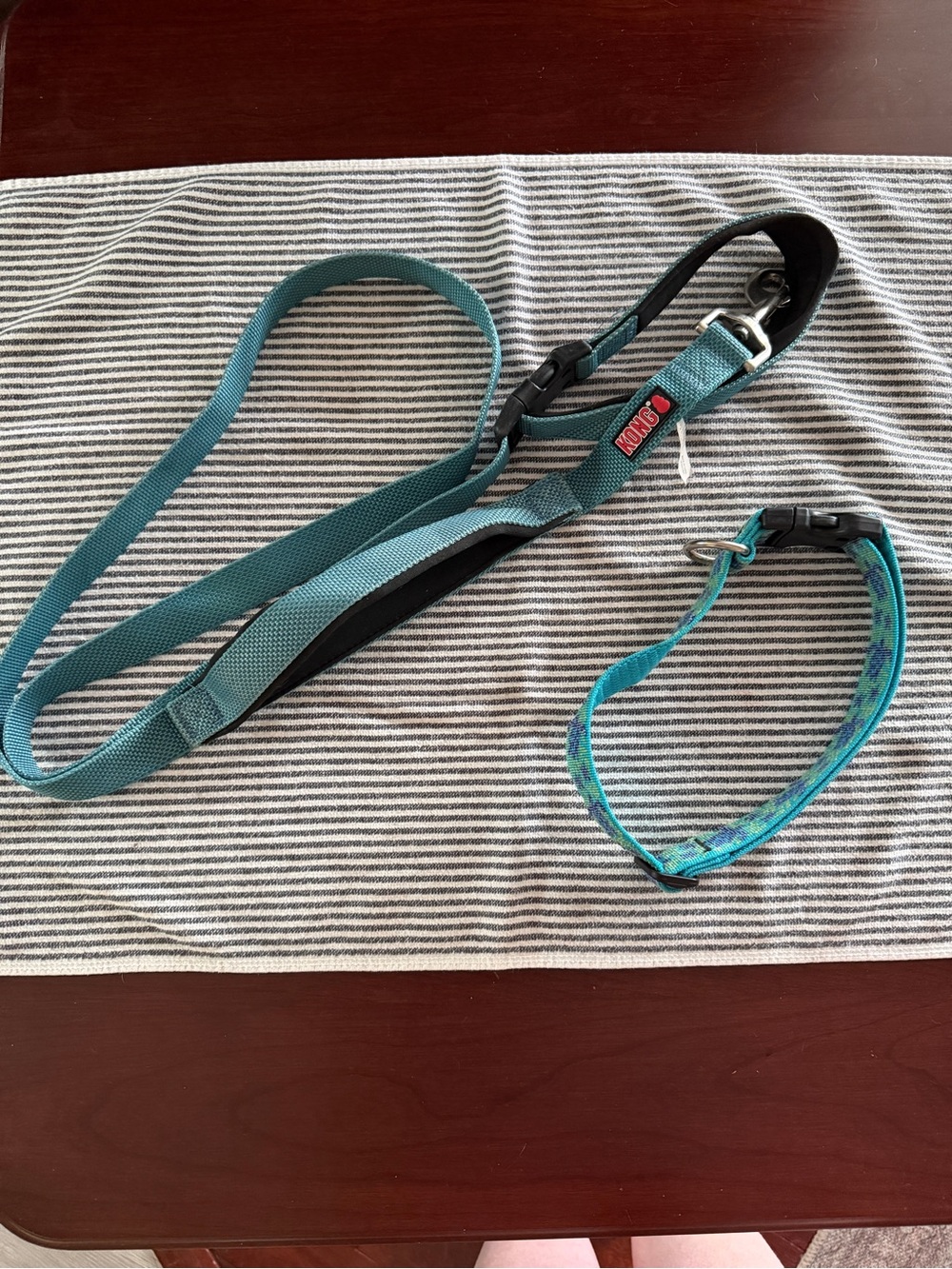 Kong Teal Dog Leash and Lupine Collar